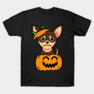 Funny small dog is in a pumpkin T-Shirt